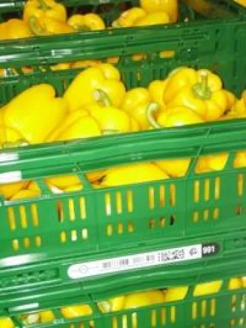 RFID Lösungen von inotec sorgen für optimales Behältermanagement Bild: RFID Lösungen von inotec sorgen für optimales Behältermanagement