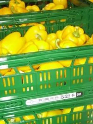 Bild: RFID Lösungen von inotec sorgen für optimales Behältermanagement