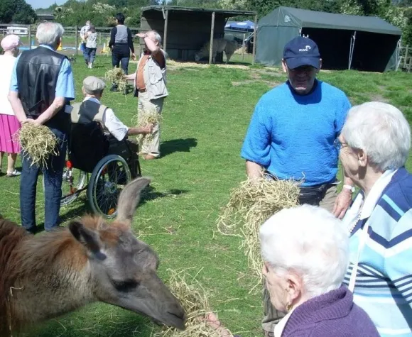 Essener Senioren treffen auf Gelsenkirchener Lamas Bild: Essener Senioren treffen auf Gelsenkirchener Lamas