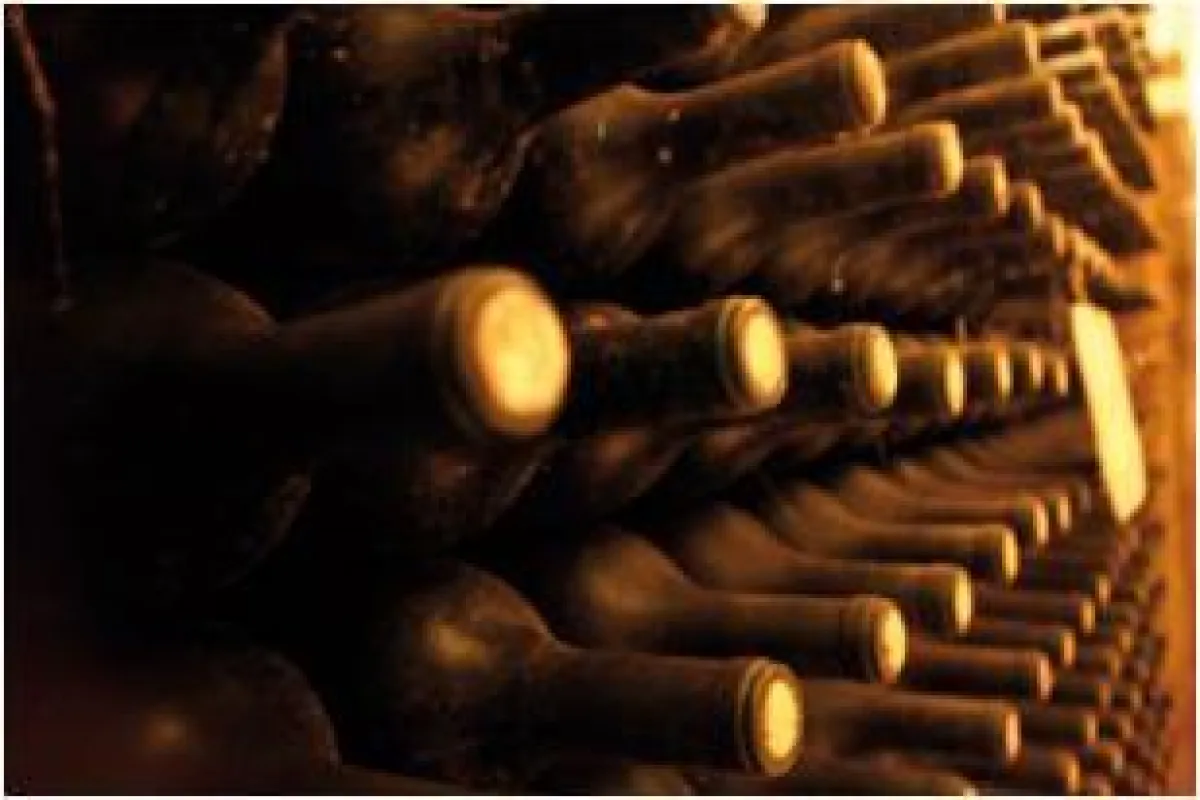 Mallorca Wein - Bodega Pere Seda