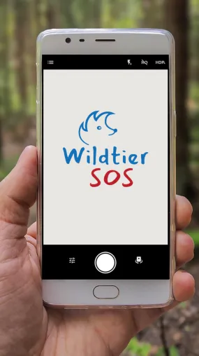 Hilfe für Helfende: App für Wildtiere in Not Bild: Hilfe für Helfende: App für Wildtiere in Not