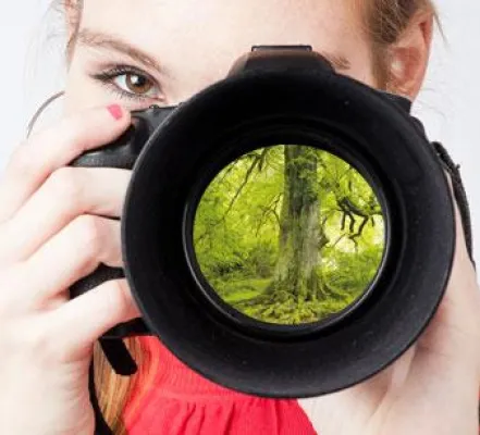 Bild: Fotowettbewerb "Meine Linde"