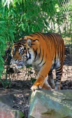 Bild: Fotokurs - Wildlife - Der Zoobesuch der besonderen Art