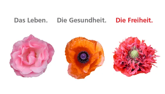 Bild: Medicment auf dem 40. Jahrestag der Deutschen Diabetes Gesellschaft in Berlin