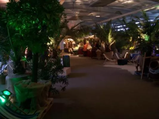 Bild: NaturKunstMarkt mit Weihnachtsgeschichten unter Palmen