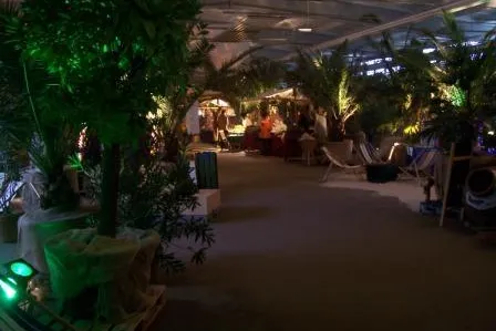 Bild: NaturKunstMarkt mit Weihnachtsgeschichten unter Palmen