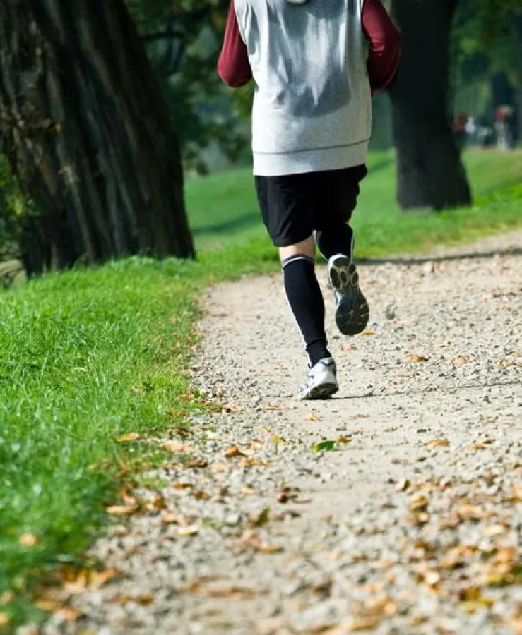 It's not a walk in the park - Es ist mehr als eine fordernde und kräftezehrende Herausforderung