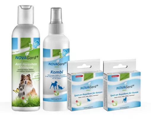 Bild: Natürlicher Zecken- und Flohschutz für Hunde und Katzen - auch im Herbst