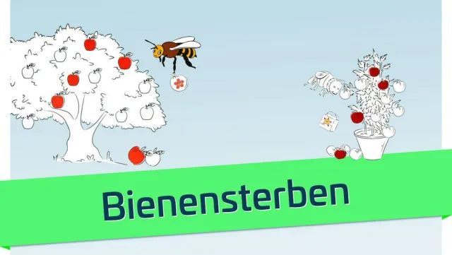 Bild: Bienensterben – Ursachen und Folgen unterhaltsam erklärt.