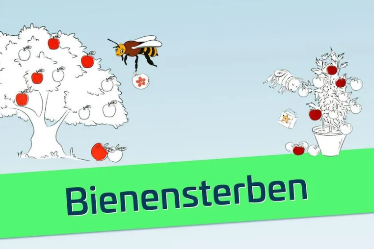 Bild: Bienensterben – Ursachen und Folgen unterhaltsam erklärt.