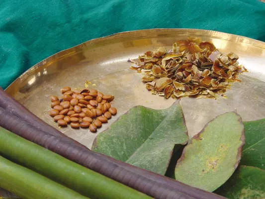Bild: Ayurveda als komplementäre Medizin - Vortragsveranstaltung mit Ayurveda-Experten
