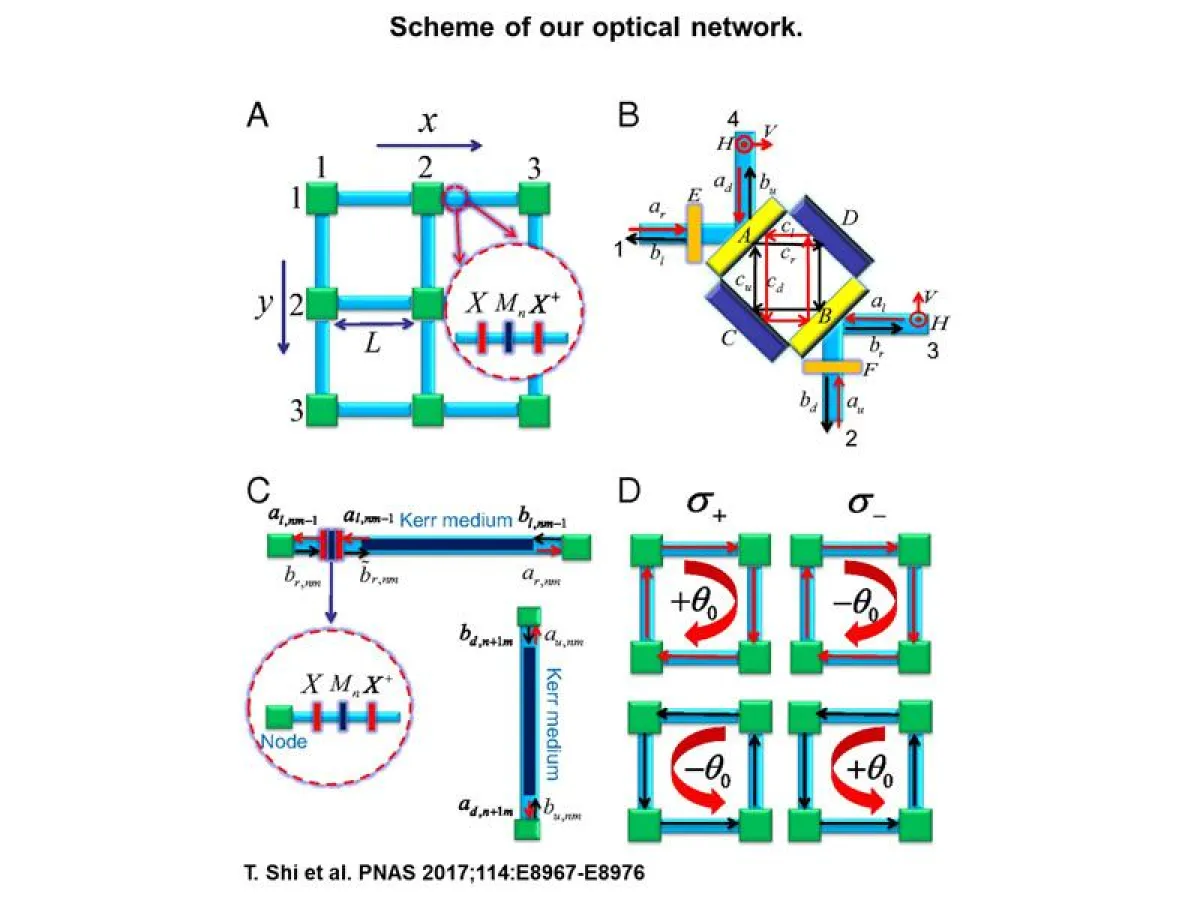 Schema des optischen Netzwerks (Grafik: aus der Originalveröffentlichung)