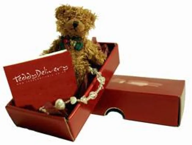 Bild: TeddyDelivery setzt internationalen Wachstumskurs fort