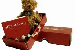 TeddyDelivery setzt internationalen Wachstumskurs fort Bild: TeddyDelivery setzt internationalen Wachstumskurs fort
