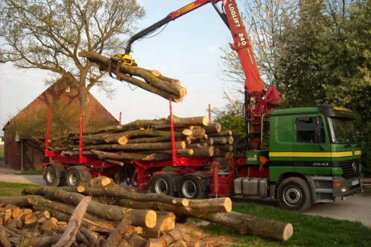 Bild: Mehr als nur Kaminholz für den Winter