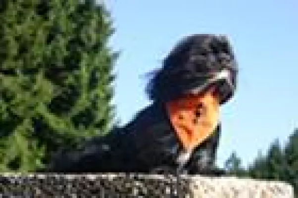 Pure Naturfutter und Markus Mühle - Spitzenqualität zum attraktiven Preis Bild: Pure Naturfutter und Markus Mühle - Spitzenqualität zum attraktiven Preis