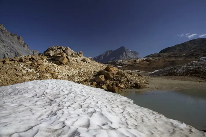 Bild: Seltener Weizenfund in bronzezeitlicher Lunch-Box aus dem Schweizer Hochgebirge