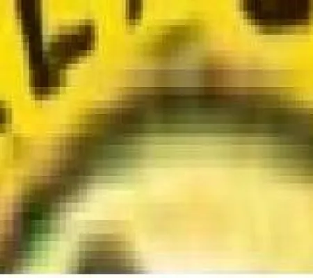 Bild: Manipulative Normierung durch neologistische Konstrukta?