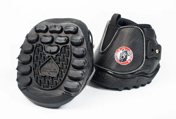 Bild: Einzelschuhe bei Equine-Fusion