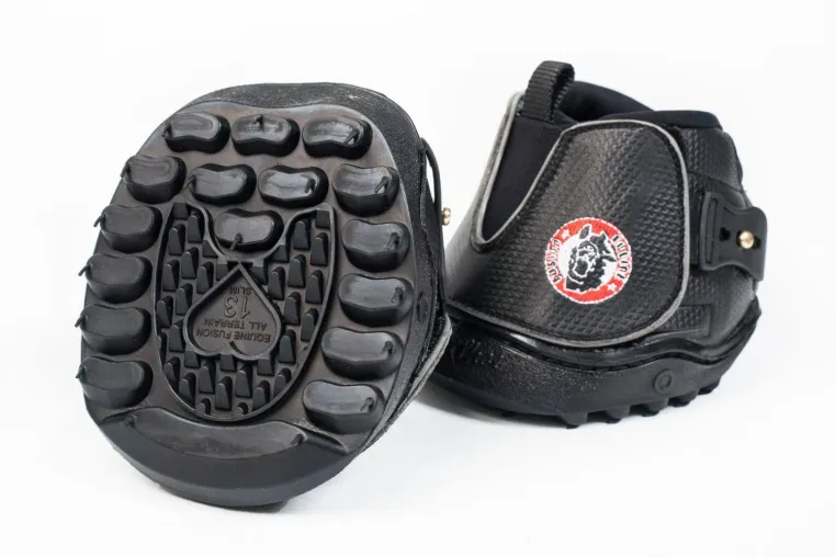 Einzelschuhe bei Equine-Fusion Bild: Einzelschuhe bei Equine-Fusion