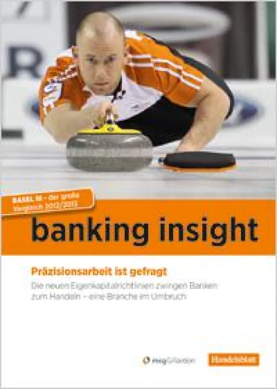 banking insight 2013 - die aktuelle Studie von msgGillardon und Handelsblatt