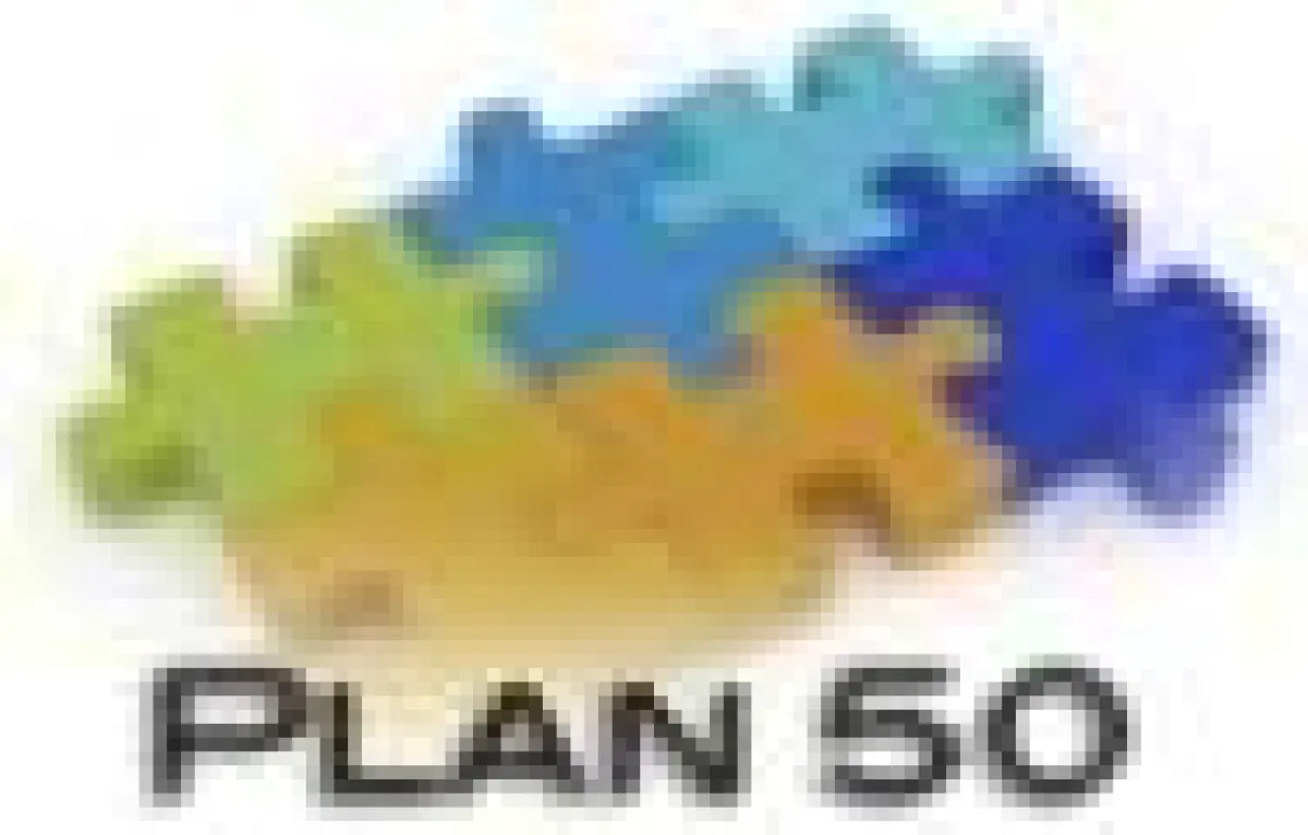 PLAN50 Interim Management