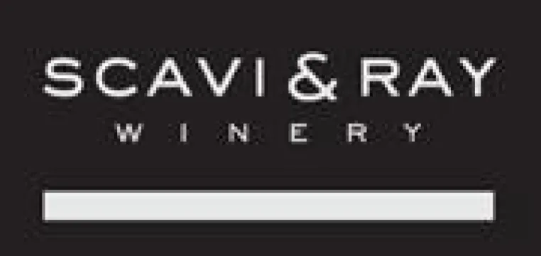 Bild: SCAVI & RAY ist offizieller Sponsor der GERRY WEBER OPEN 2009