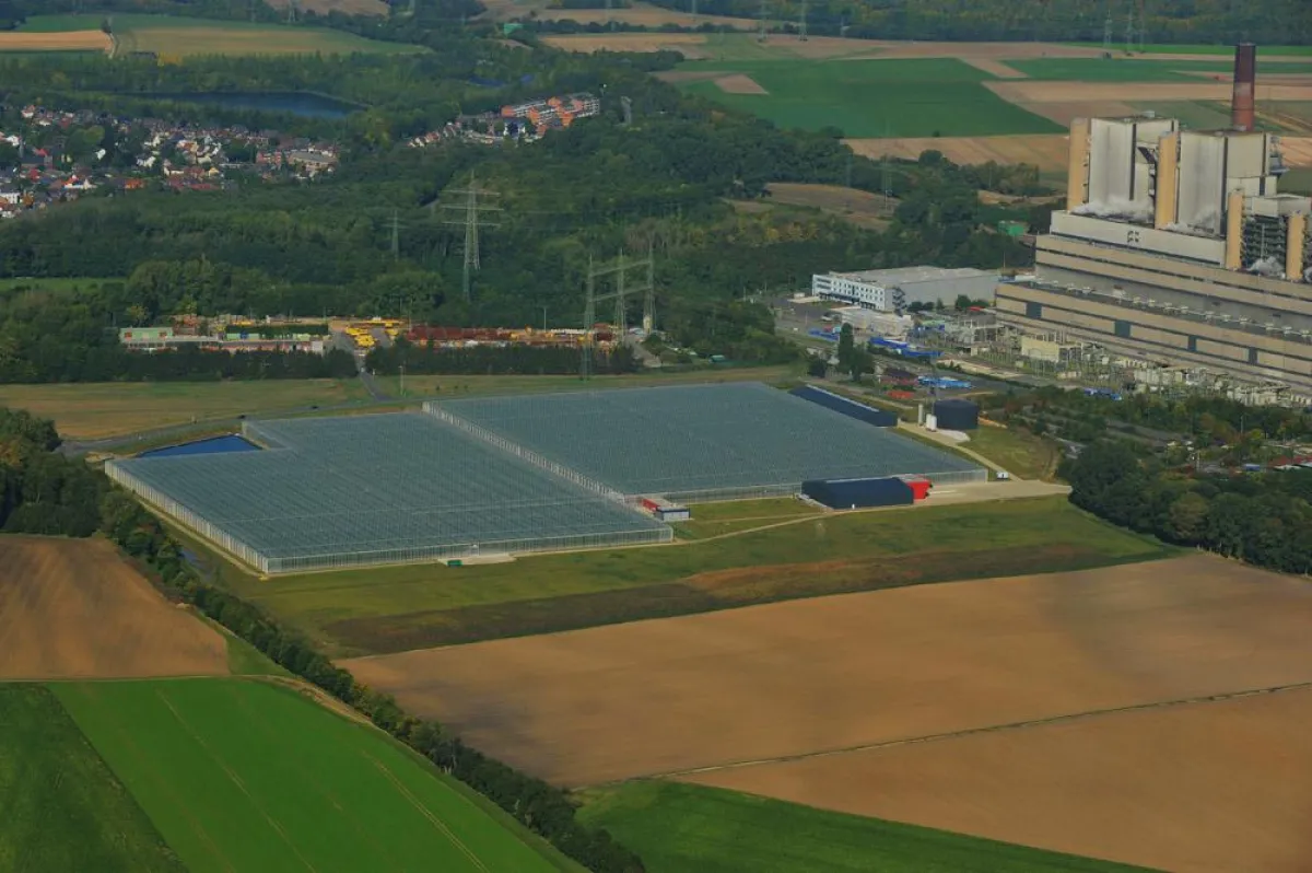 Auch im 11 Hektar großen Treibhaus in Neurath kommt das CO2 zum Einsatz