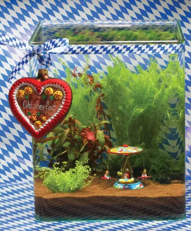 Bild: Oans, zwoa, Nano ...