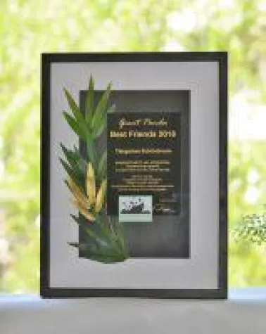 Auszeichnung "Giant Panda Best Friends" vergeben Bild: Auszeichnung "Giant Panda Best Friends" vergeben