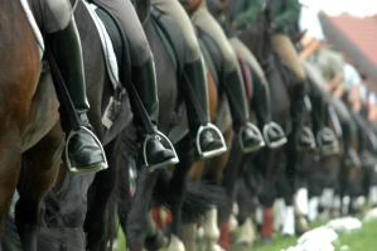 Gesunderhaltung des Pferdes durch gutes Reiten lautet das Thema der 28. FFP-Fortbildungsveranstaltung. Foto: Sabine Heüveldop