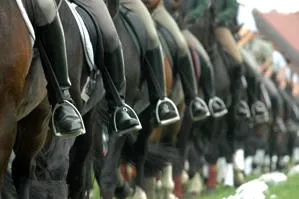 Bild: Erhaltung der Pferdegesundheit durch gutes Reiten