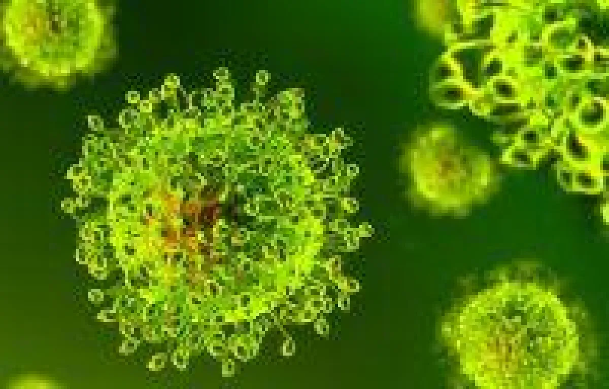 Quelle: Depositphotos