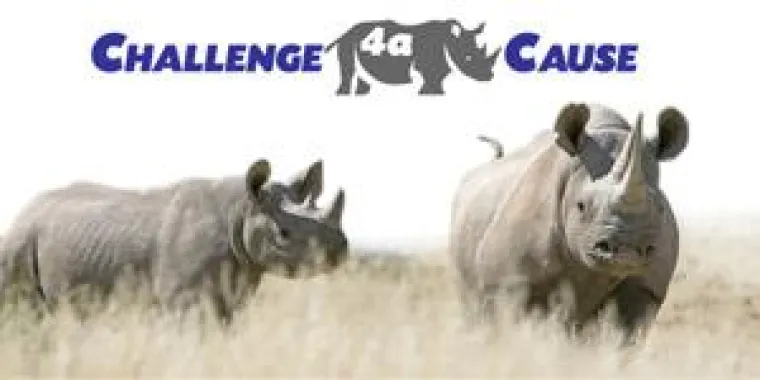 Aktion zur Rettung der Wüstennashörner Bild: Aktion zur Rettung der Wüstennashörner