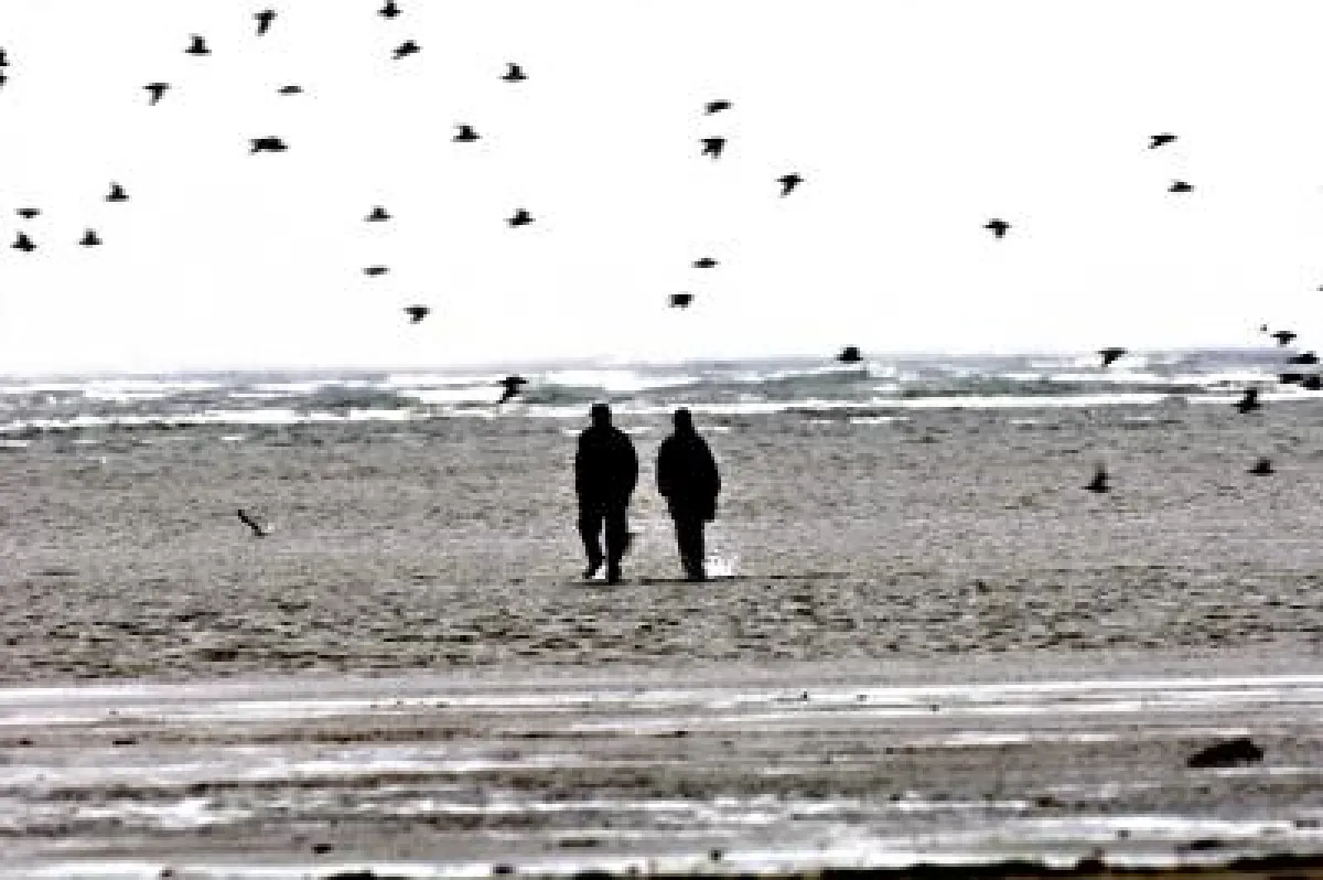 Wattenmeer an der dänischen Nordseeküste