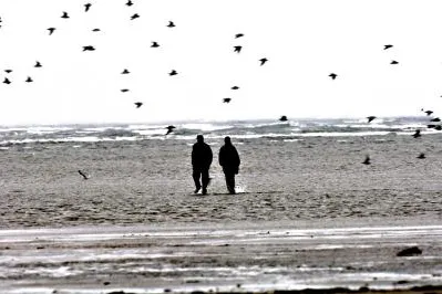 Roher Naturgenuss im Wattenmeer Bild: Roher Naturgenuss im Wattenmeer