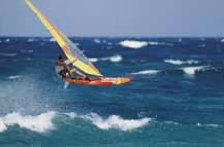 Bild: Sportlich in den Sommer 2006