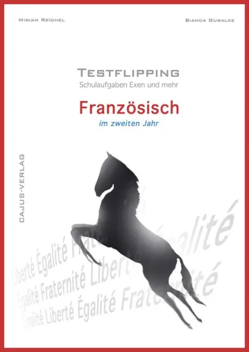Bild: Wodurch unterscheidet sich 'Testflipping' von anderen Lernmaterialien?