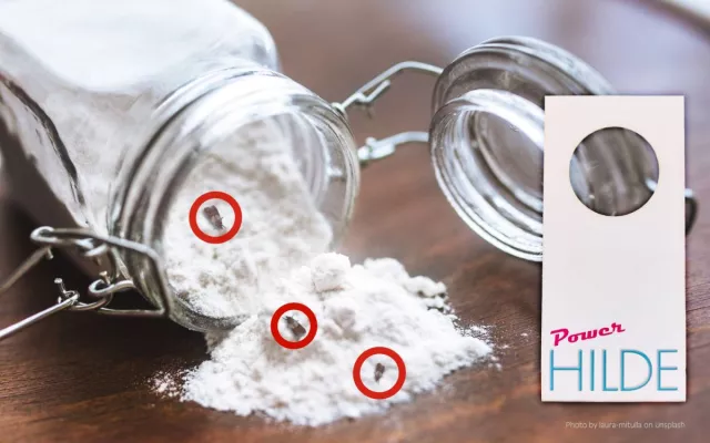 Mottenshop24 präsentiert PowerHILDE: Die neue Generation im Kampf gegen Motten - mit 33% mehr Schlupfwespen Bild: Mottenshop24 präsentiert PowerHILDE: Die neue Generation im Kampf gegen Motten - mit 33% mehr Schlupfwespen