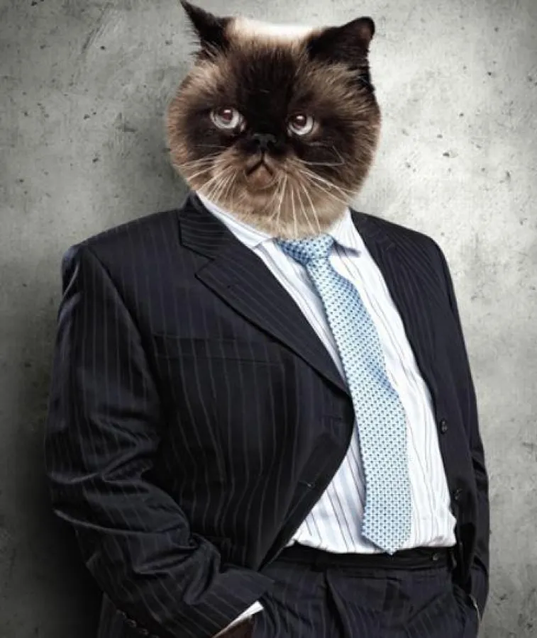 Kiefer&Kompanie entwickelt kreative Marketing-Lösungen