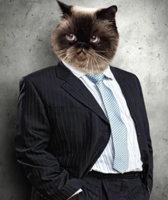 Wir sind jung. "Und das ist auch gut so" Bild: Wir sind jung. "Und das ist auch gut so"