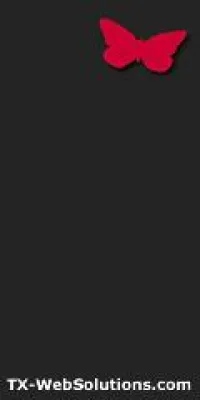 Bild: dresden Software und triple-x-hosting vollziehen den letzten Schritt