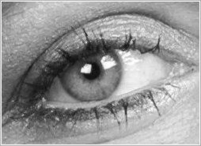 AWIM mit neuer Website Bild: AWIM mit neuer Website