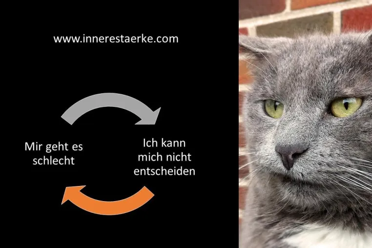 Eine Liste von Bäumen Bild: Eine Liste von Bäumen