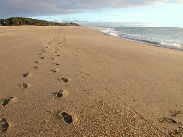 Bild: Ob bewusst oder unbewusst - Kommunikation wirkt immer