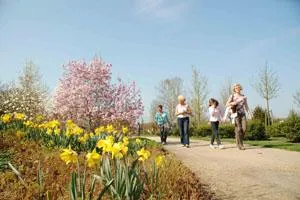 Bad Zwischenahn - Ein Paradies für Park- und Blumenfreunde Bild: Bad Zwischenahn - Ein Paradies für Park- und Blumenfreunde