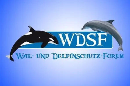 Weitere Reiseveranstalter streichen sämtliche Delfinarien-Touren in der Türkei Bild: Weitere Reiseveranstalter streichen sämtliche Delfinarien-Touren in der Türkei