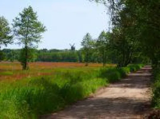 Bild: Usedomer Vielfalt gesund erwandern