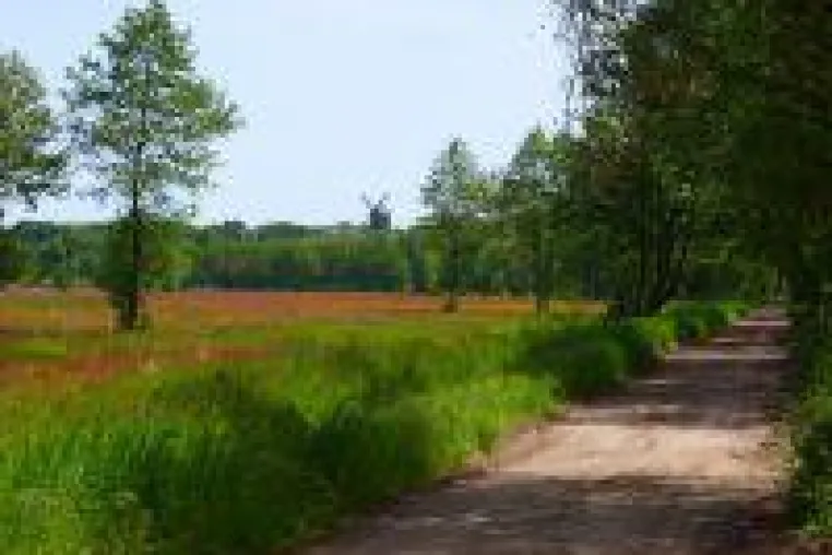 Bild: Usedomer Vielfalt gesund erwandern