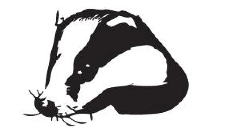 Bild: Apotheken im Bundesgebiet erhalten Abmahnungen - Reagieren Sie richtig